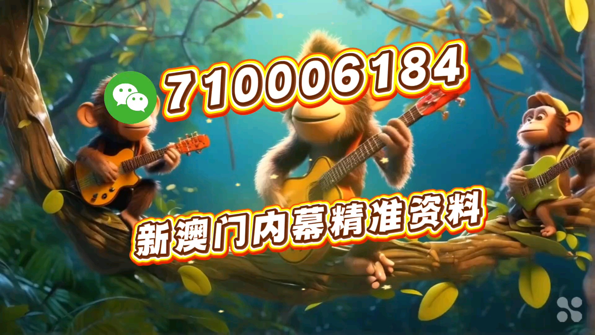 澳门必开一肖一码一特，探索背后的神秘与魅力，澳门必开一肖一码一特，揭秘背后的神秘魅力
