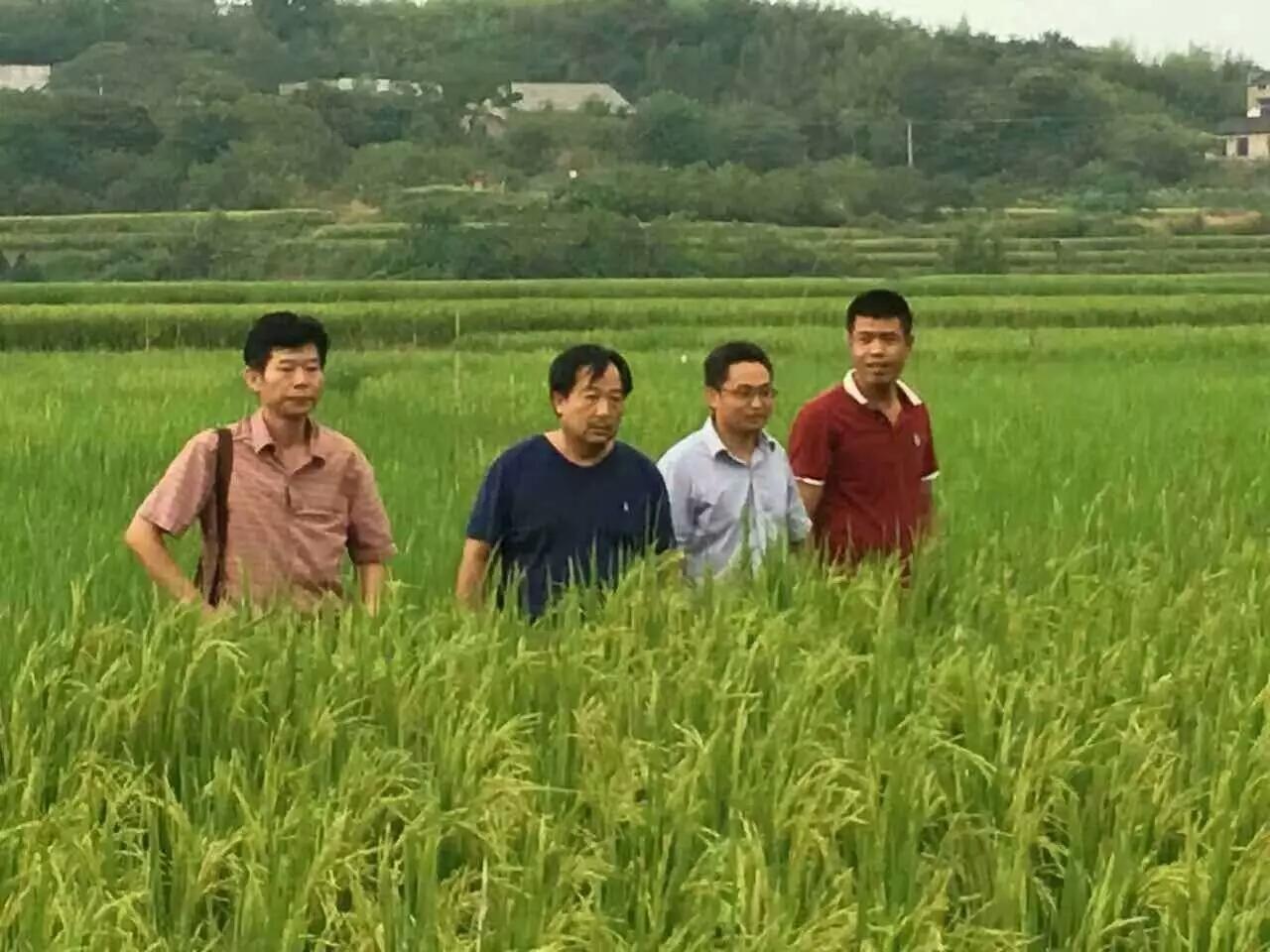 战斗机在农村上空来回飞行，一种别样的视角，战斗机农村上空翱翔，独特视角展现别样风采