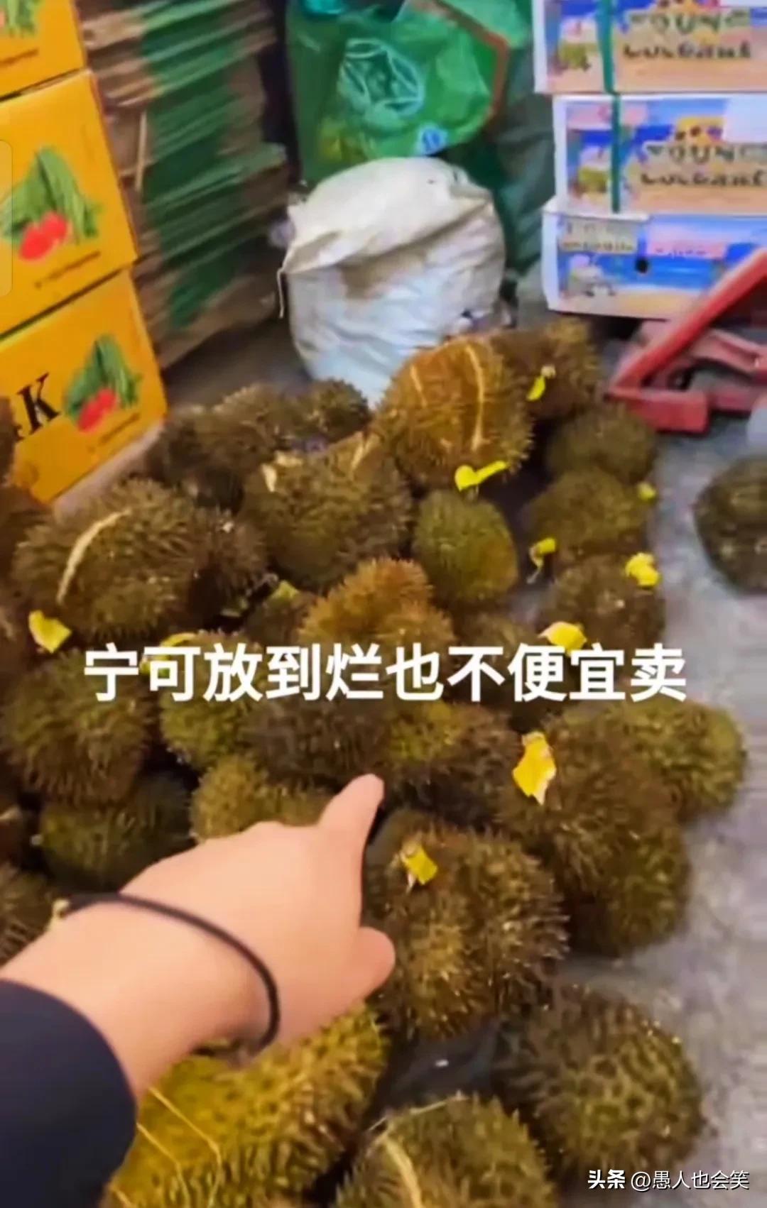 越南榴莲准入中国的最新消息，开启新的贸易篇章，越南榴莲准入中国，开启全新贸易篇章