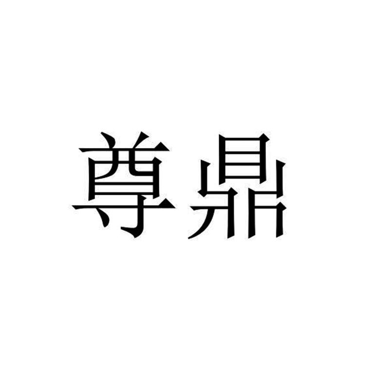 鼎盛注册——开启成功的第一步，鼎盛注册，迈向成功的起点之路