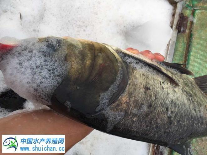 环球行情中心与新浪财经，引领全球财经信息的两大巨头，环球行情中心与新浪财经携手，全球财经信息引领者