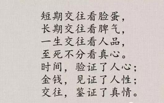 心神验证机航空节，探索未来科技的壮丽盛宴，心神验证机航空节，探索未来科技盛宴，展现壮丽科技风采