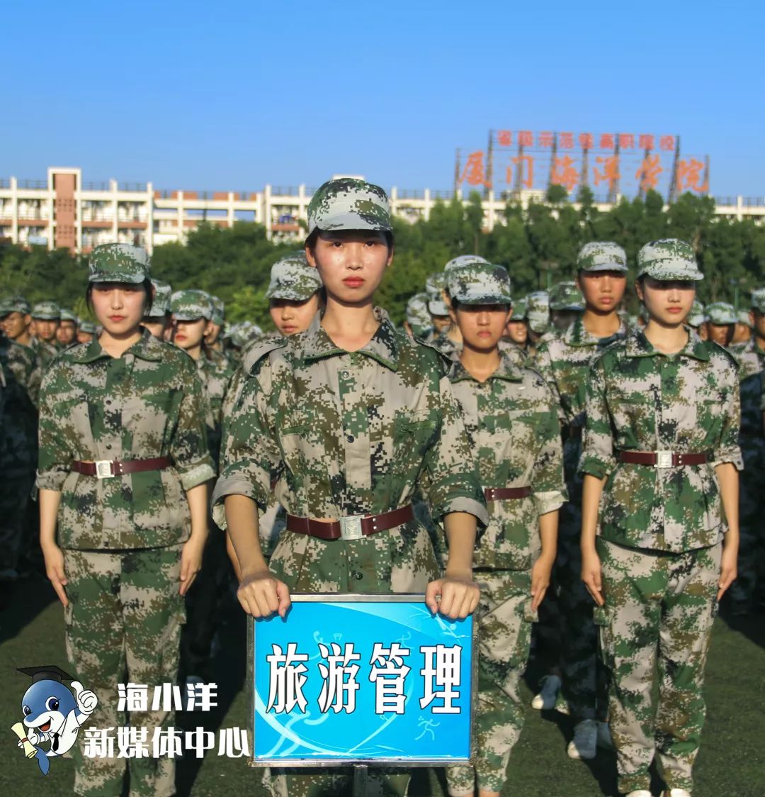 九天军问军事推演深度解析，探寻战略决策的前沿观察，九天军问深度解析，军事推演探寻战略决策前沿观察之道