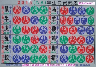 2025十二生肖49码表
